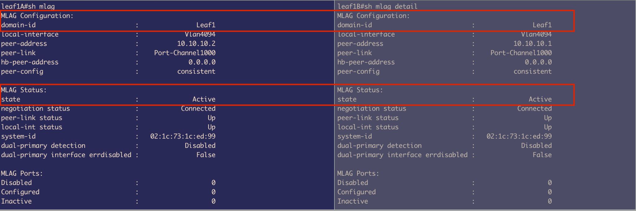 VLAN Configuration - Spine1