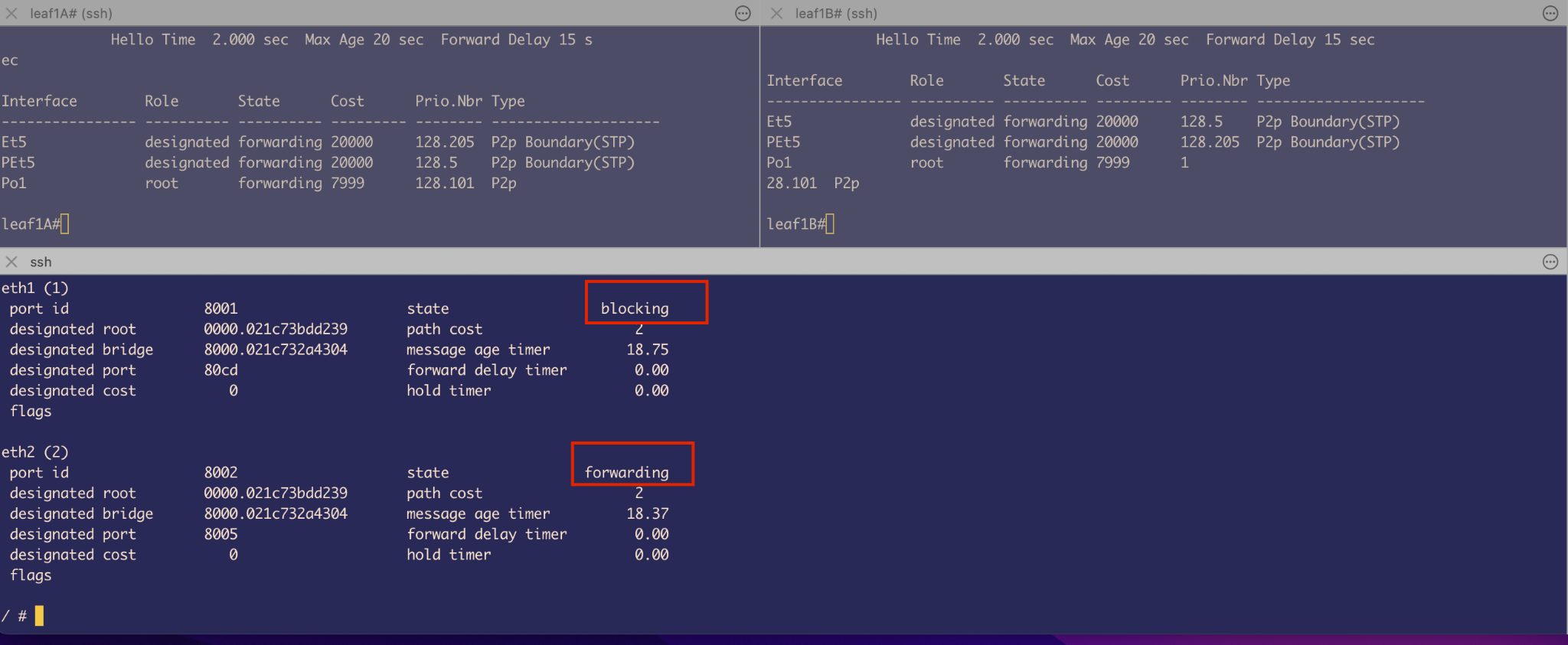 VARP Configuration - Spine1