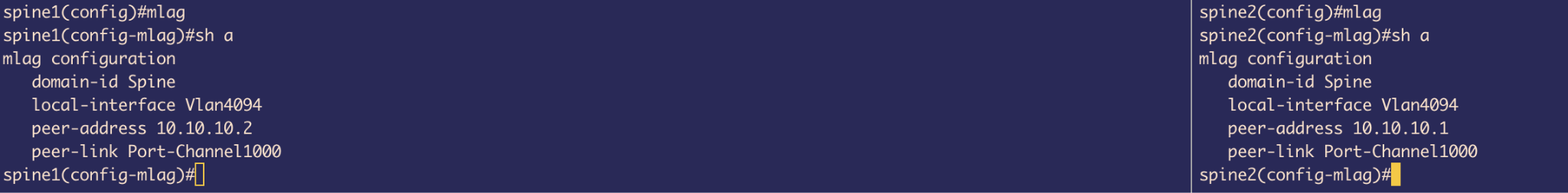 Port-channel 1000 Configuration - Spine1